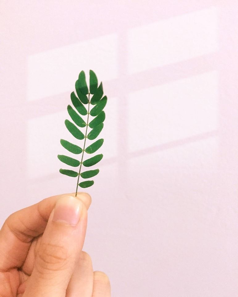 Rainbow gallery image