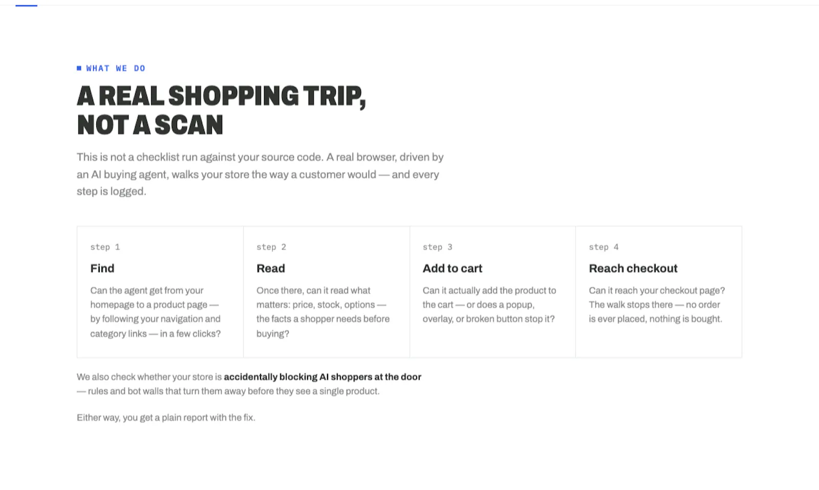 AI Store Shopper screenshot 3