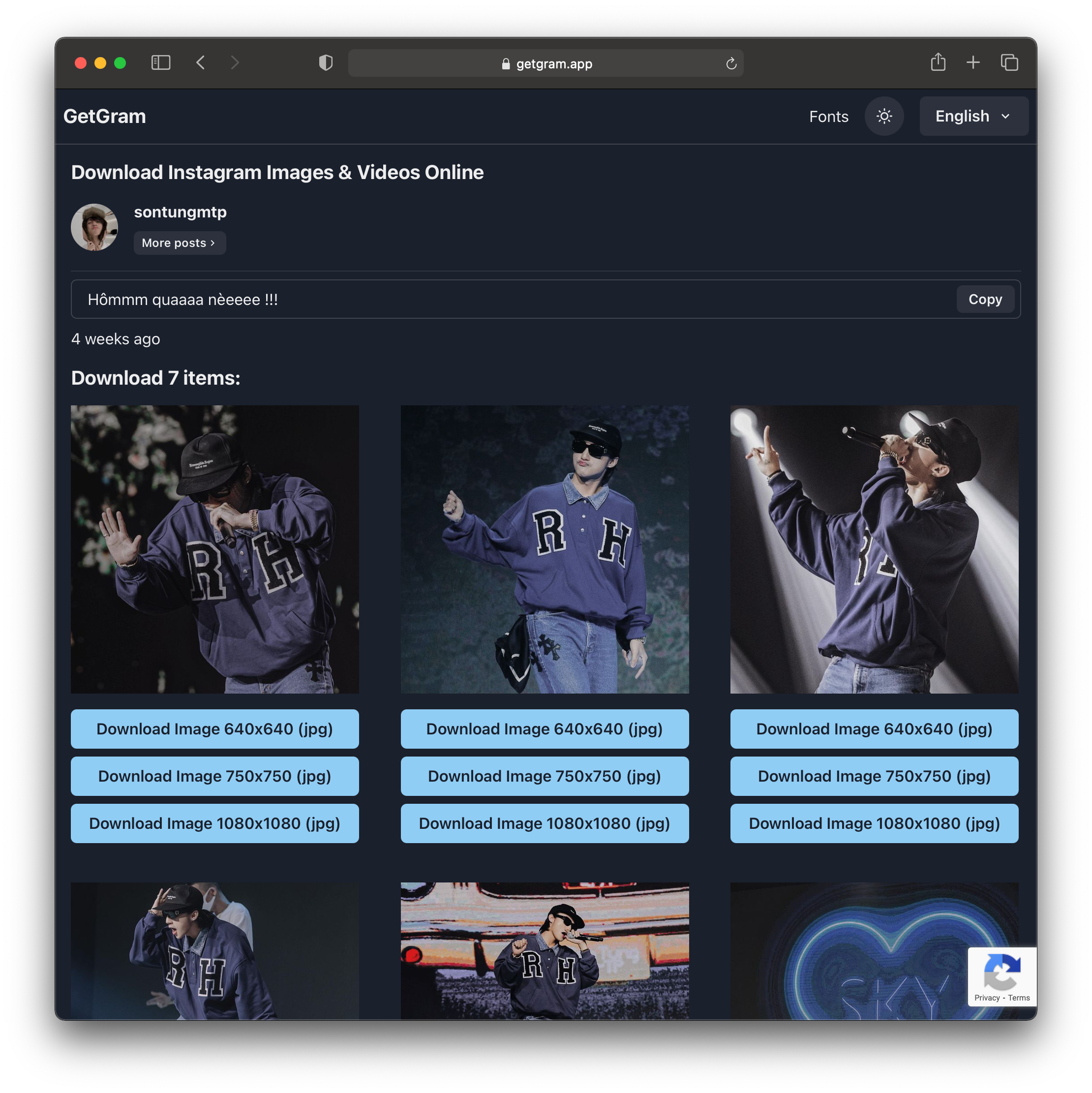 GetGram.app -Online Instagram Downloader gallery image