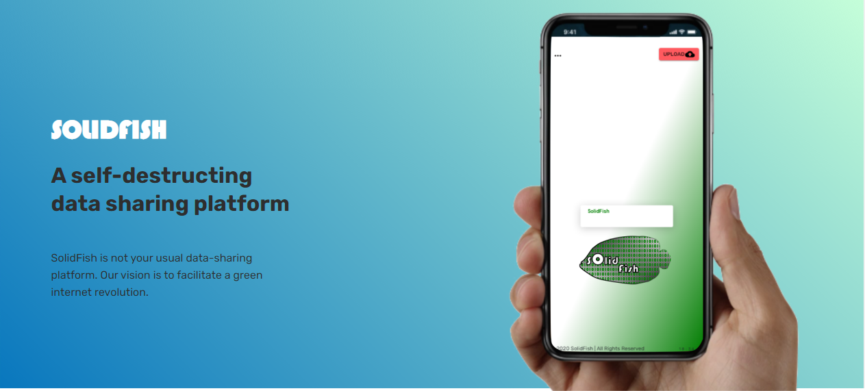 SolidFish gallery image