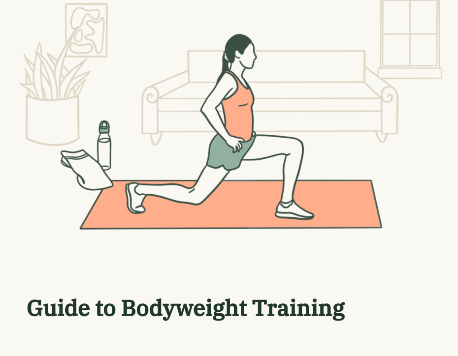 Hybrid Fitness & Nutrition Guides gallery image