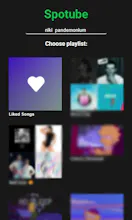 Spotube - #1 Spotify extension gallery image