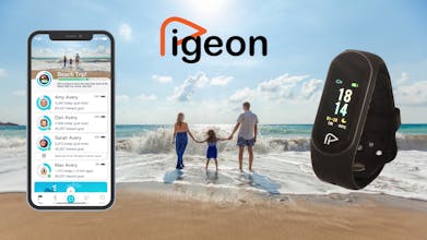 Pigeon Networks gallery image