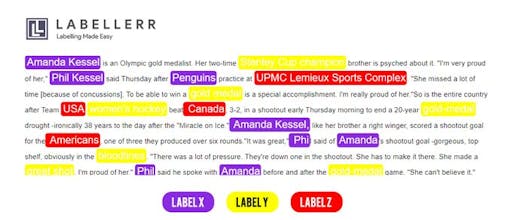 Labellerr gallery image