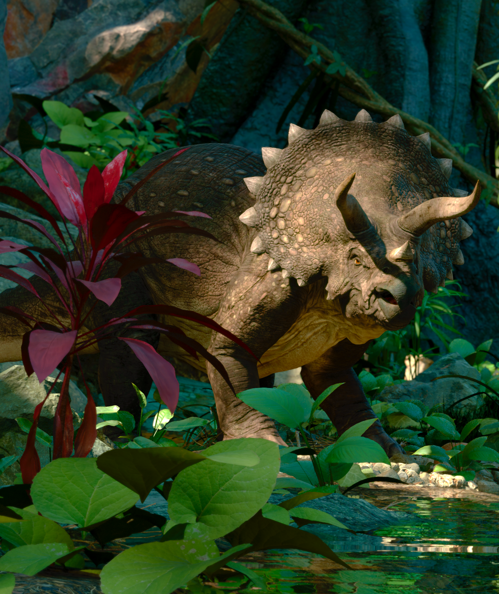 EVOLVE gallery image