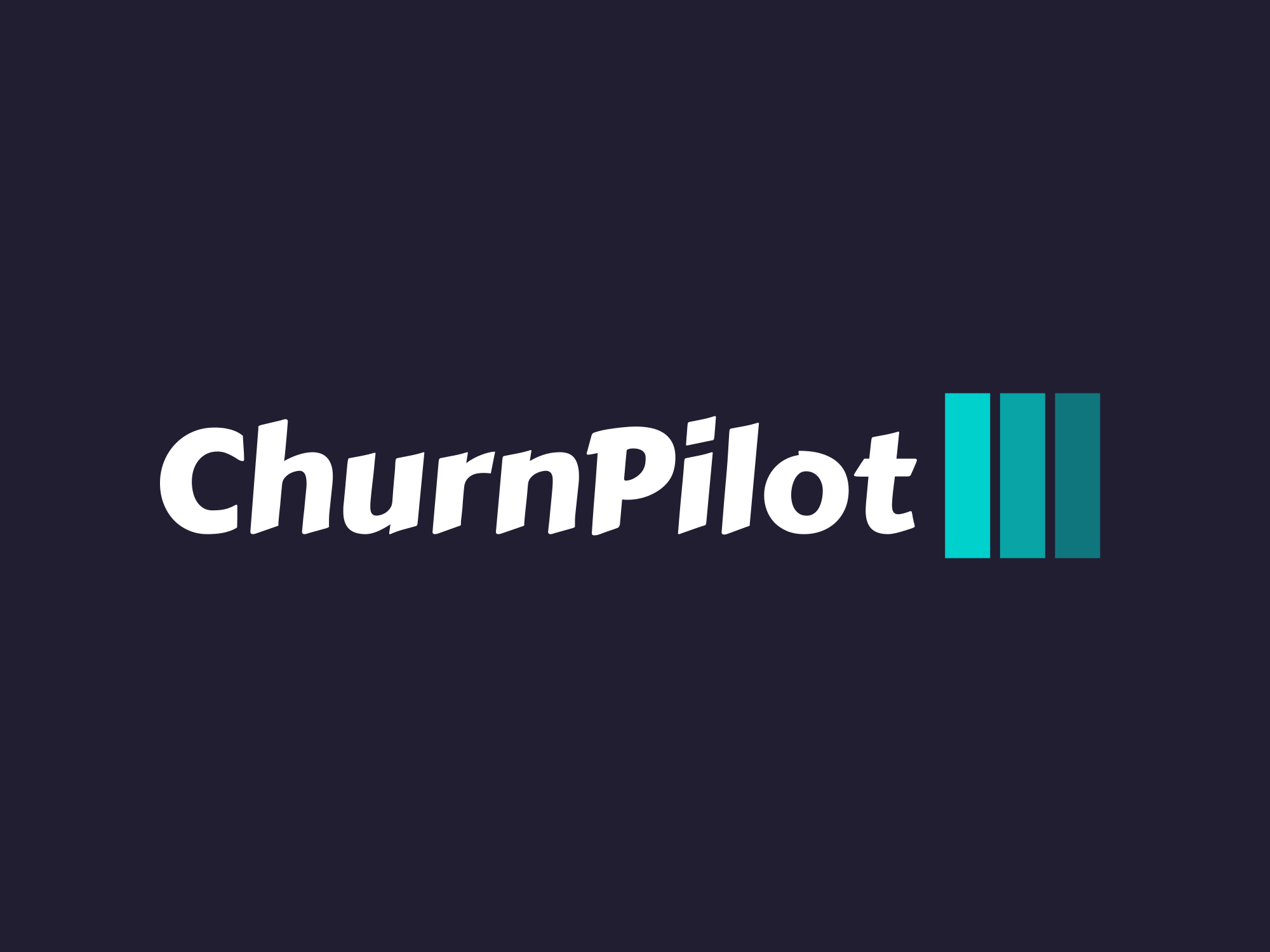 ChurnPilot gallery image