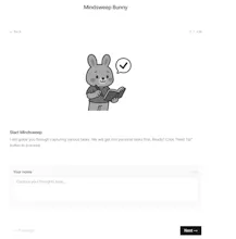 Mindsweep Bunny gallery image