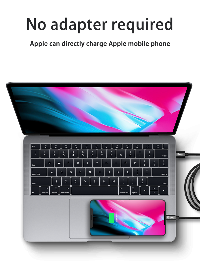 USB Type-C to lightning Cable gallery image