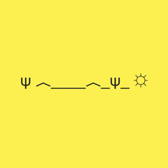 ASCII Prints logo