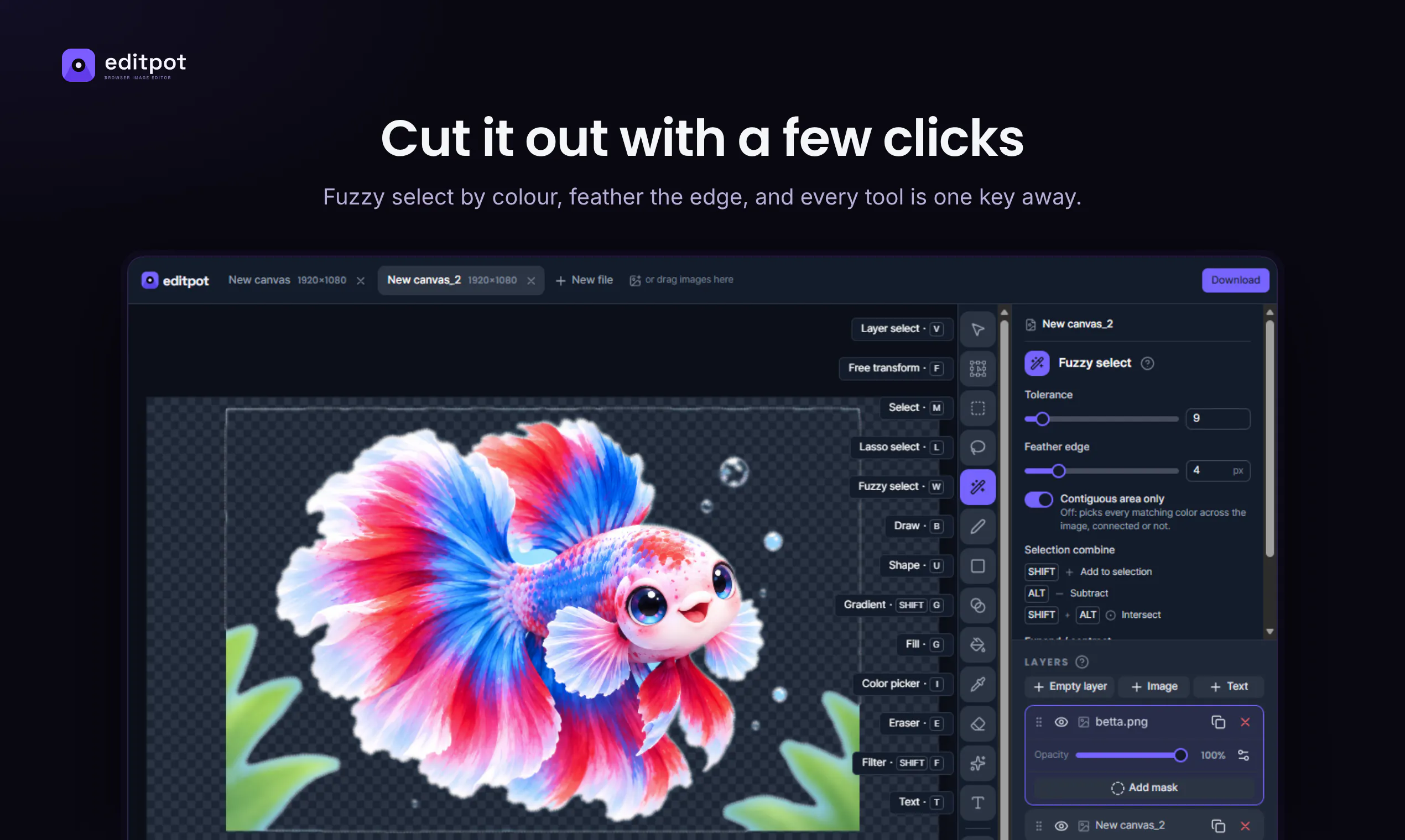 editpot gallery image
