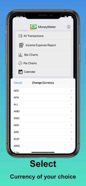 MoneyMeter gallery image