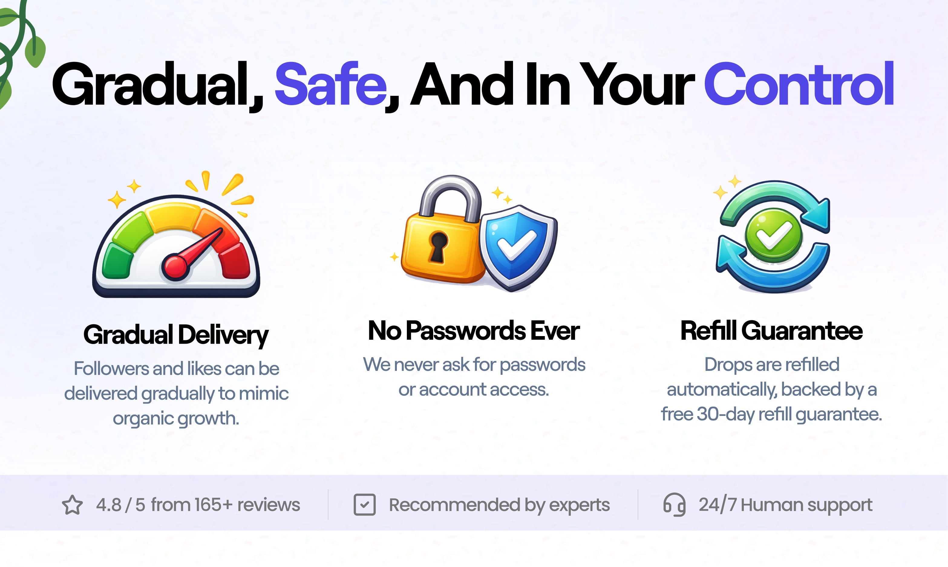 Social Crow gallery image