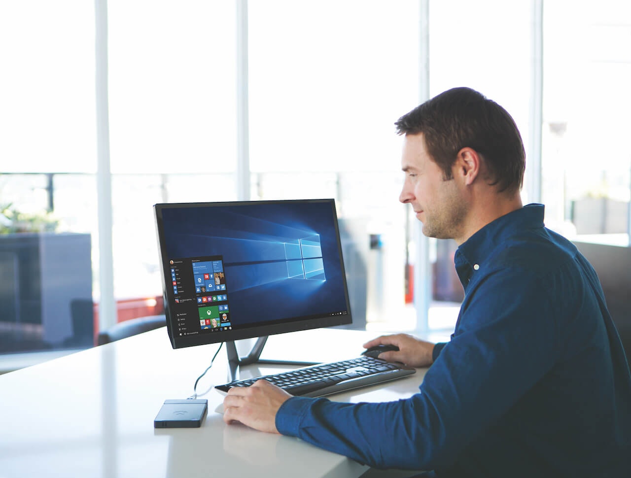 Kangaroo gallery image