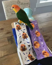 Custom Face Socks - Pup Socks gallery image