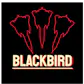 blackbird