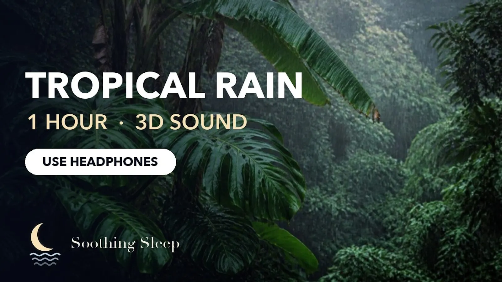 Canopy & Tide screenshot 1 (video preview)