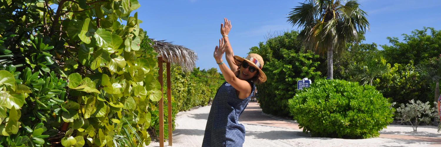 Elif Ozgecan Hız cover