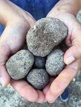 Gastronomad gallery image