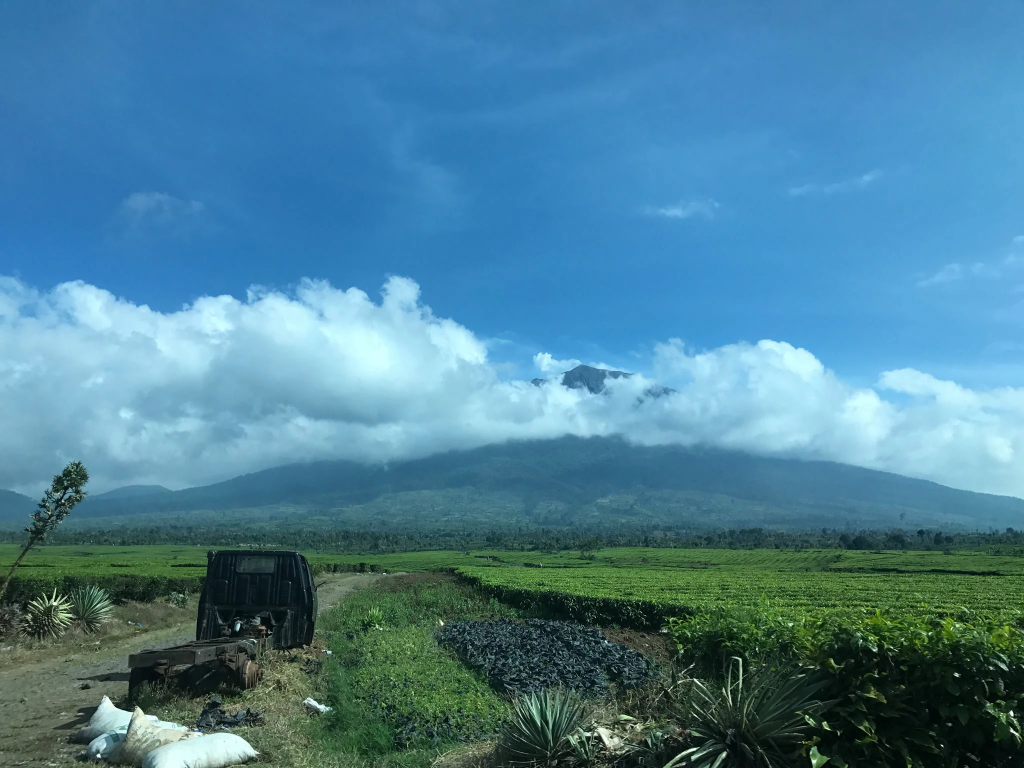 Syahiruddin Daud cover