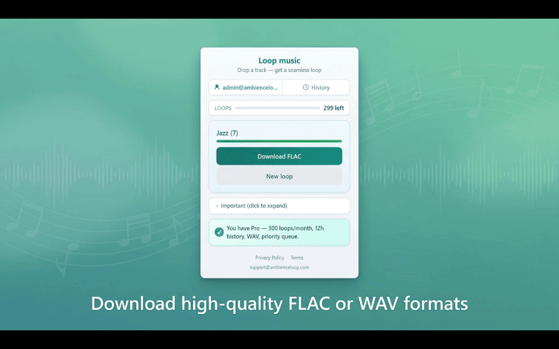 Loop Music gallery image