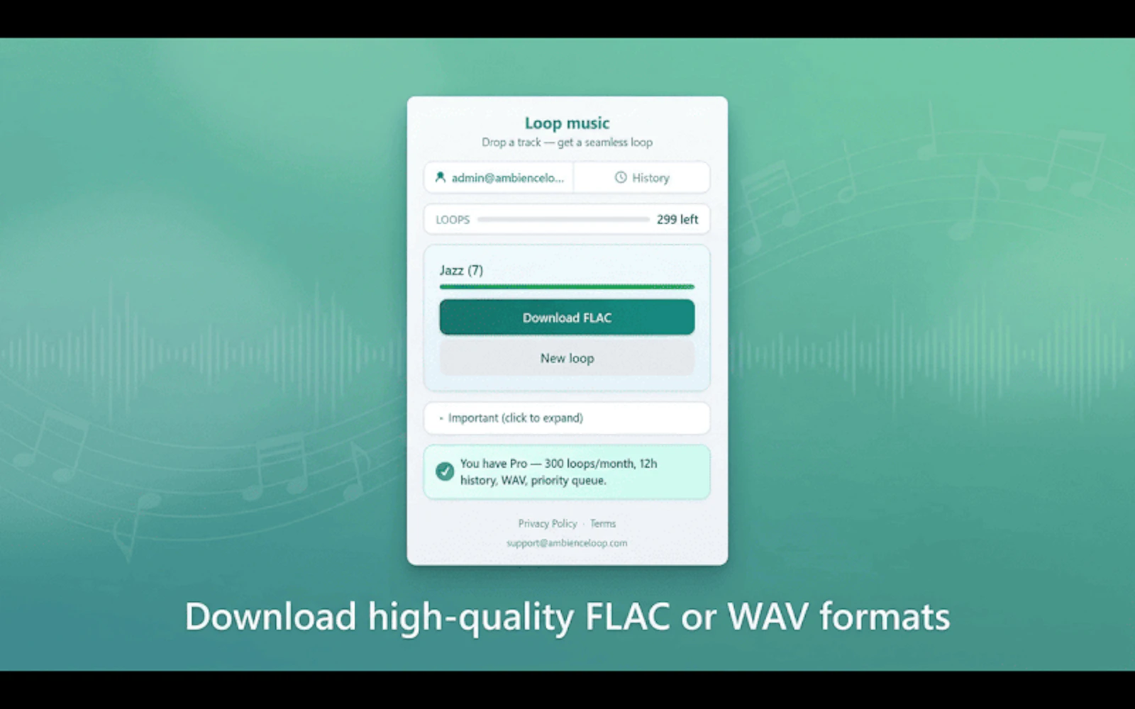 Loop Music screenshot 2