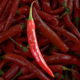 Sriracha Imageboard Hosting