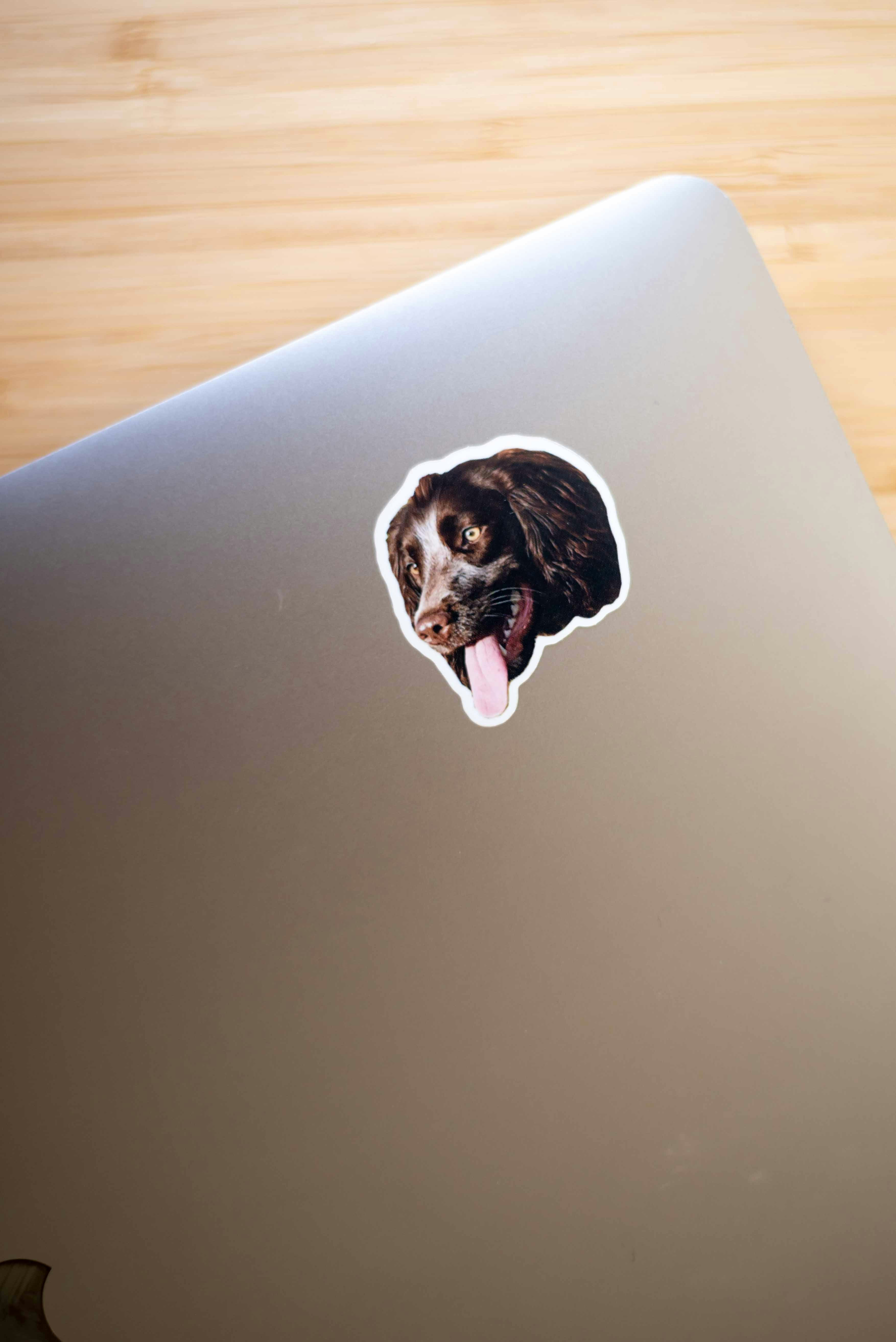 Sticker Pet gallery image