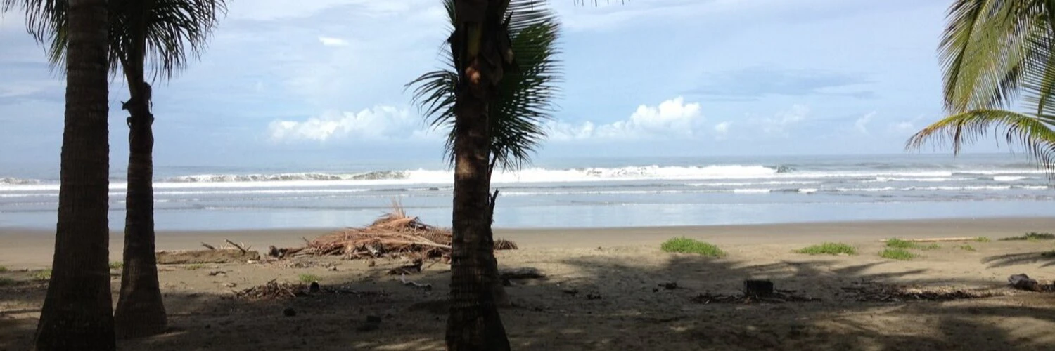 Phillip Connaughton cover