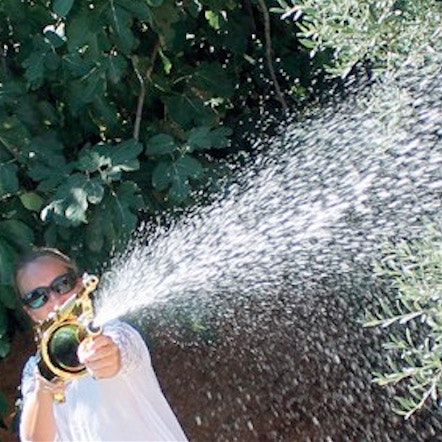 Champagne Gun gallery image