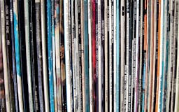 Vinyl Record & Sleeve Grader media 1