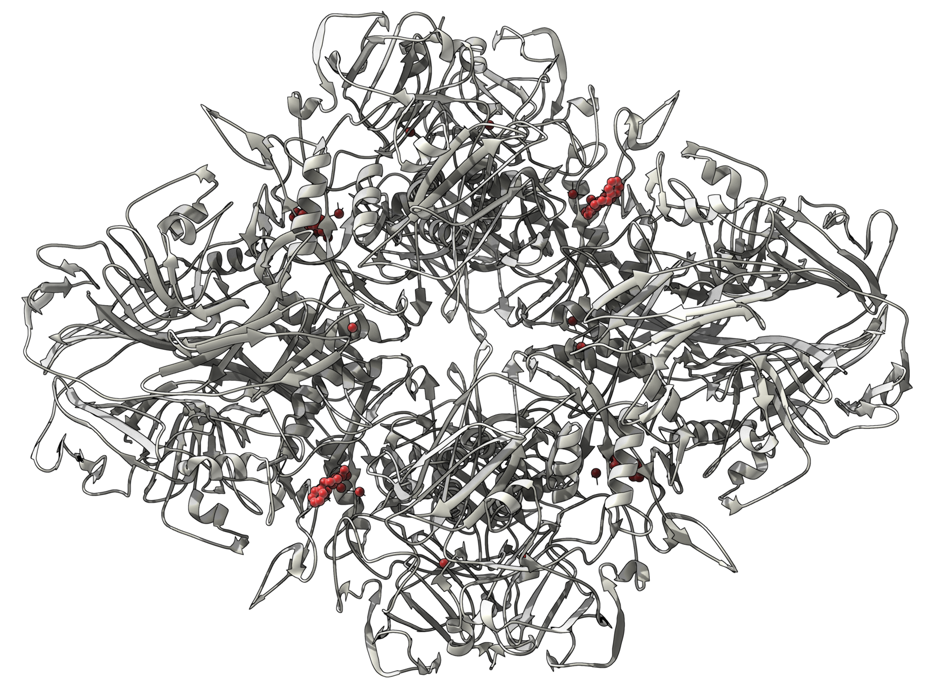 SAMSON gallery image