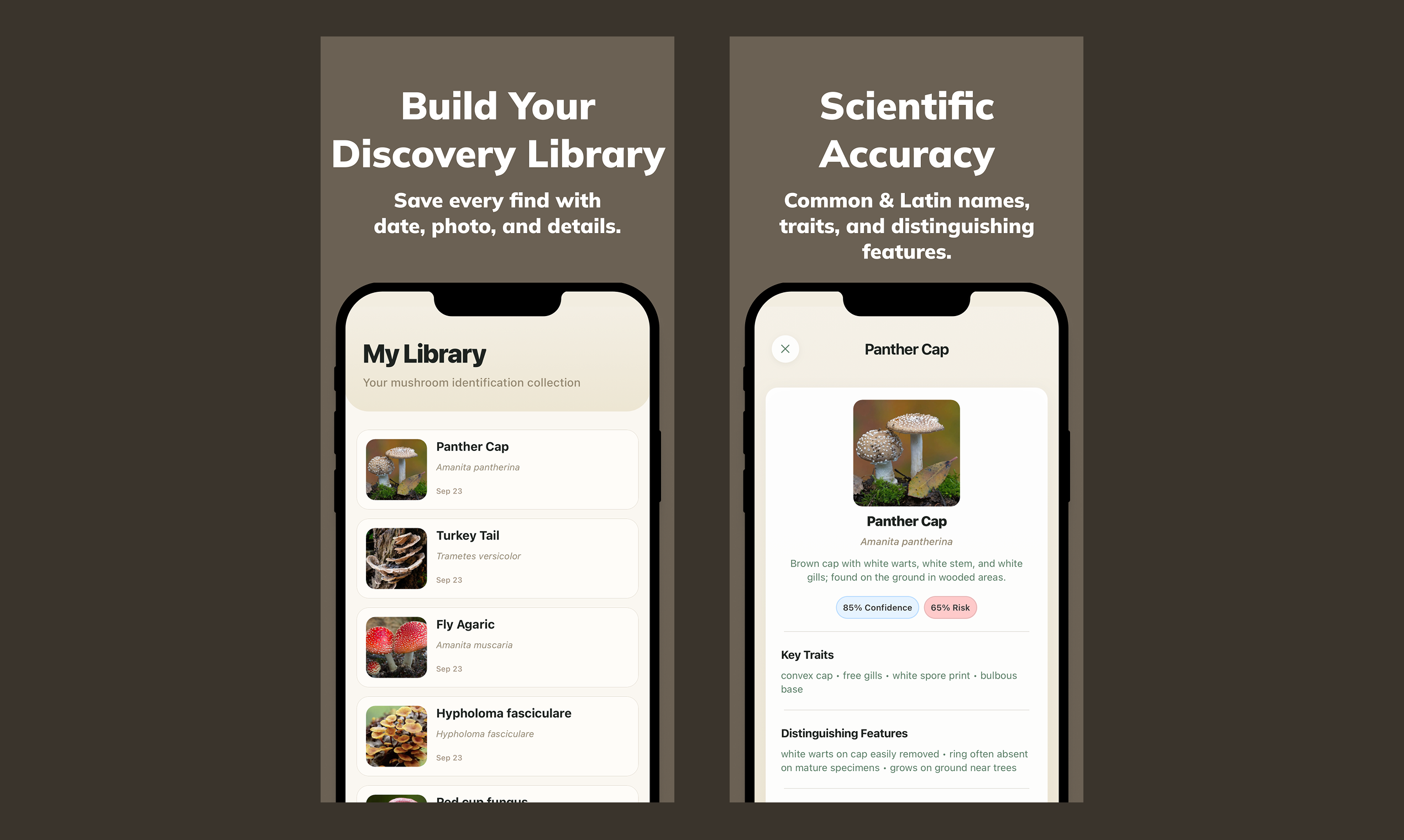 Mushy: Mushroom Identifier gallery image