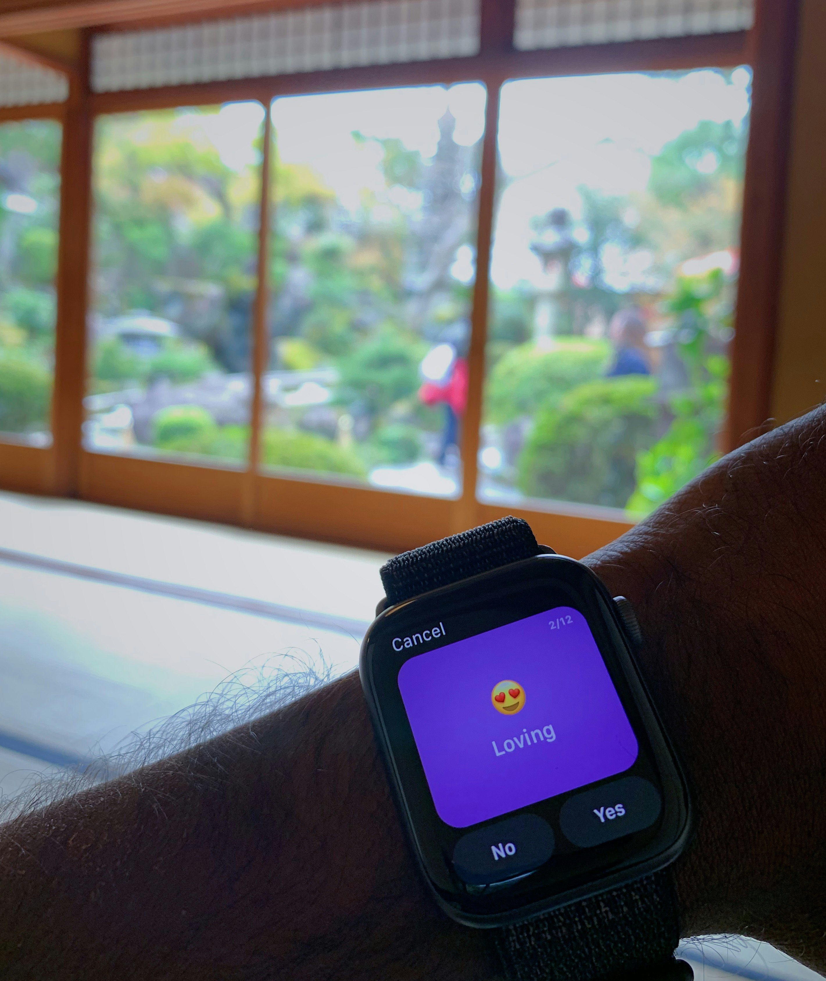 Gyroscope Watch App Image