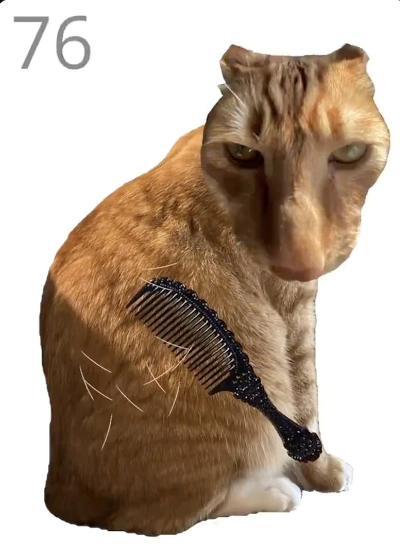 Brush Jjaemu Cat screenshot 2