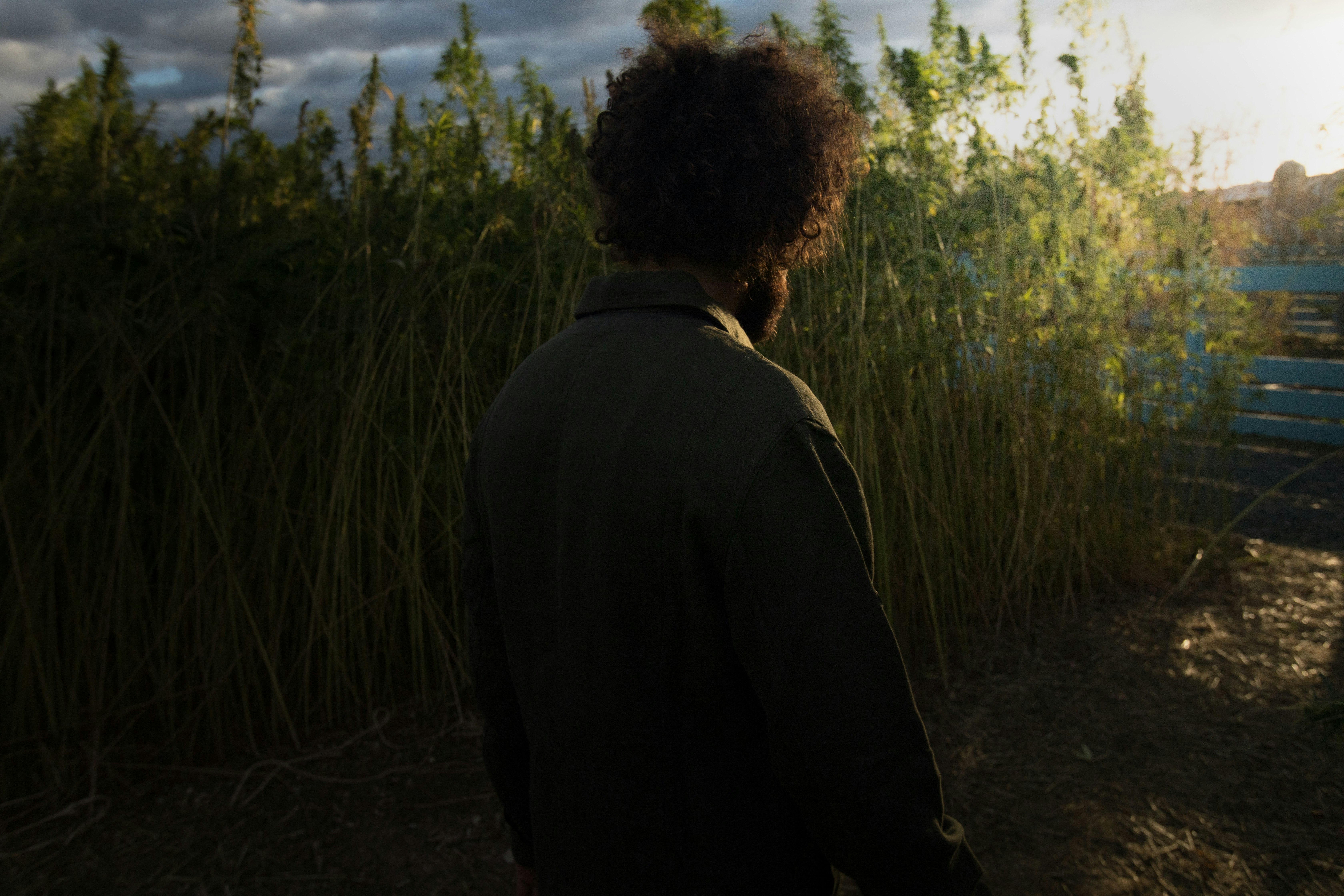 Third campaign Kickstarter this time seems to be going well gallery image