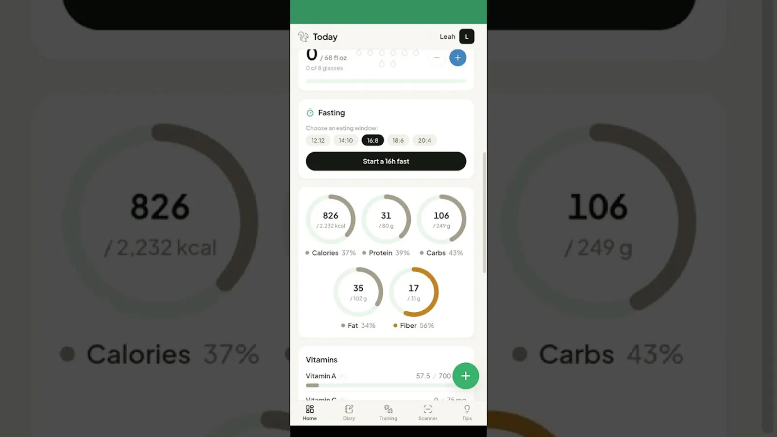 Healthy Squirrel screenshot 1 (video preview)