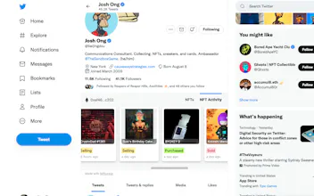 Display NFT Collection on Twitter gallery image