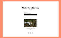 What is the cat thinking media 3