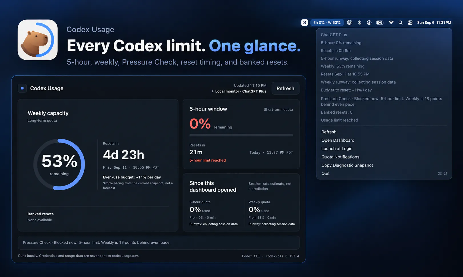 Codex Usage gallery image