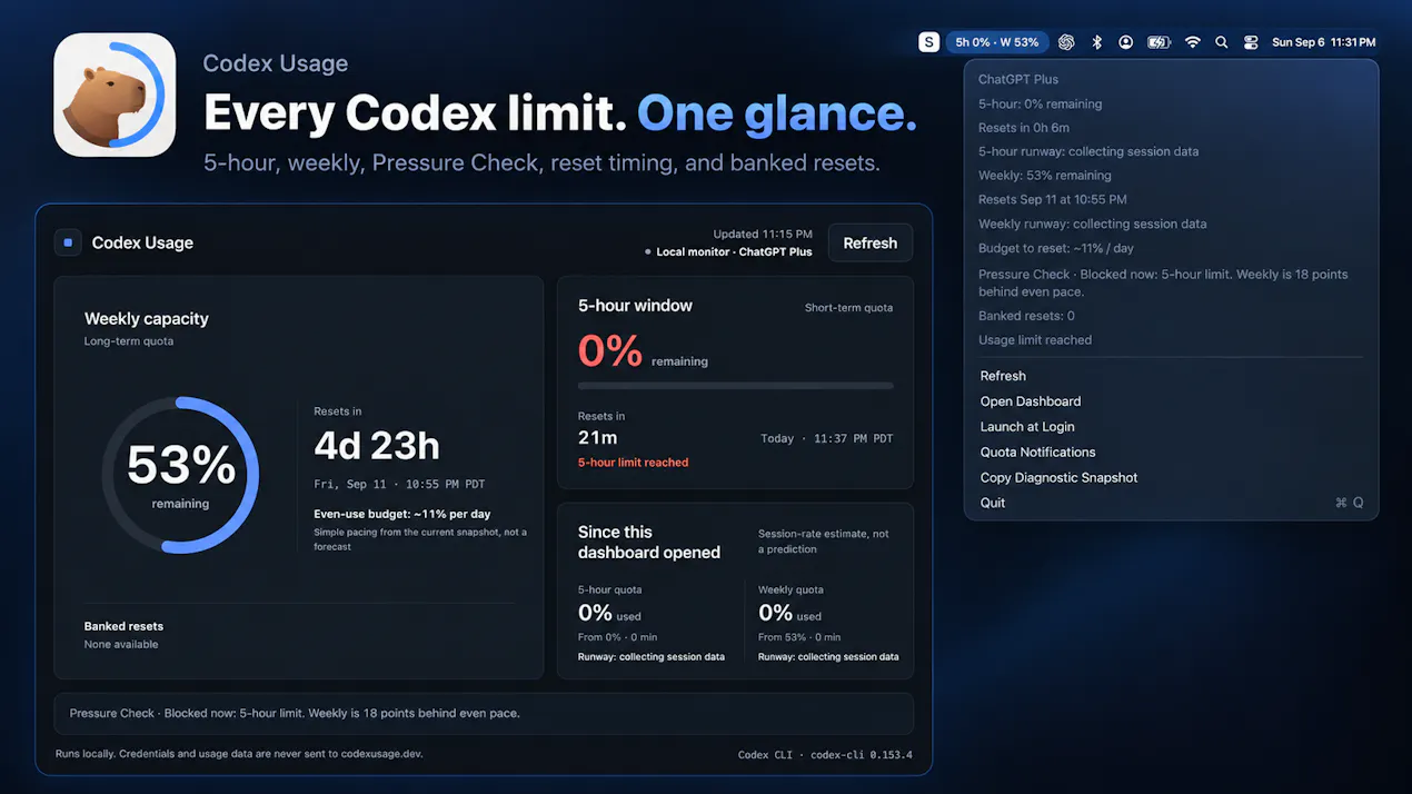 Codex Usage product