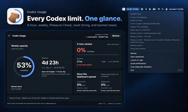 Codex Usage screenshot 1