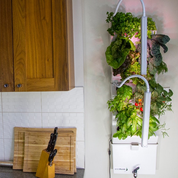 The VeggieWall gallery image