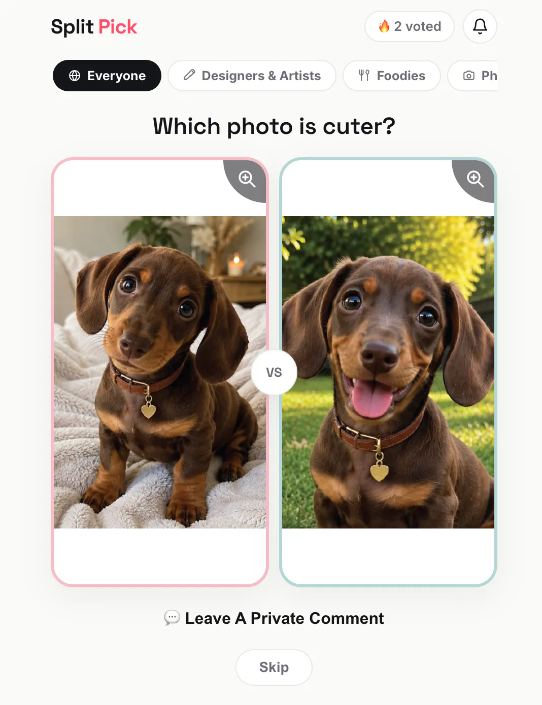Split Pick — put it to a vote gallery image