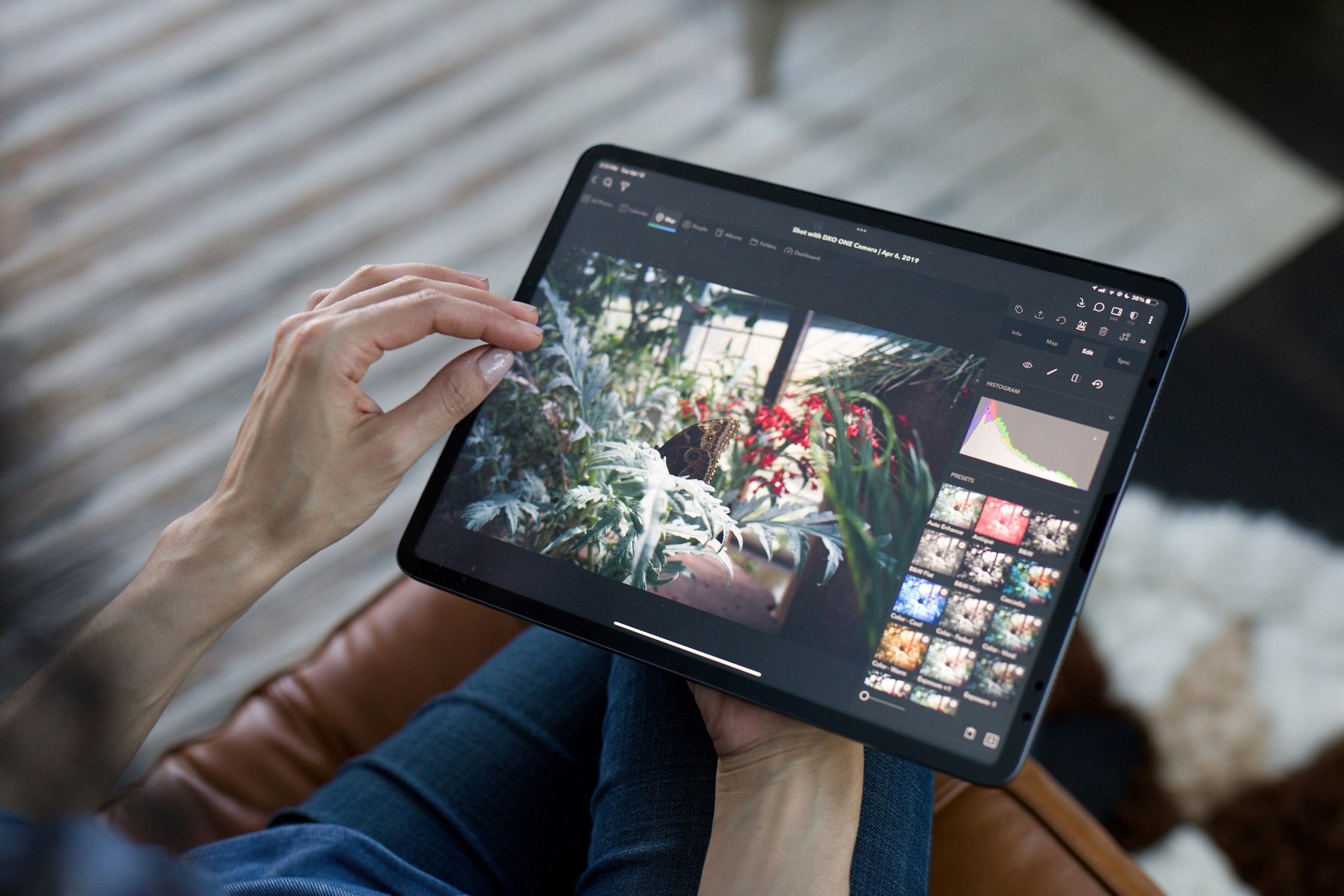 Mylio Photos gallery image