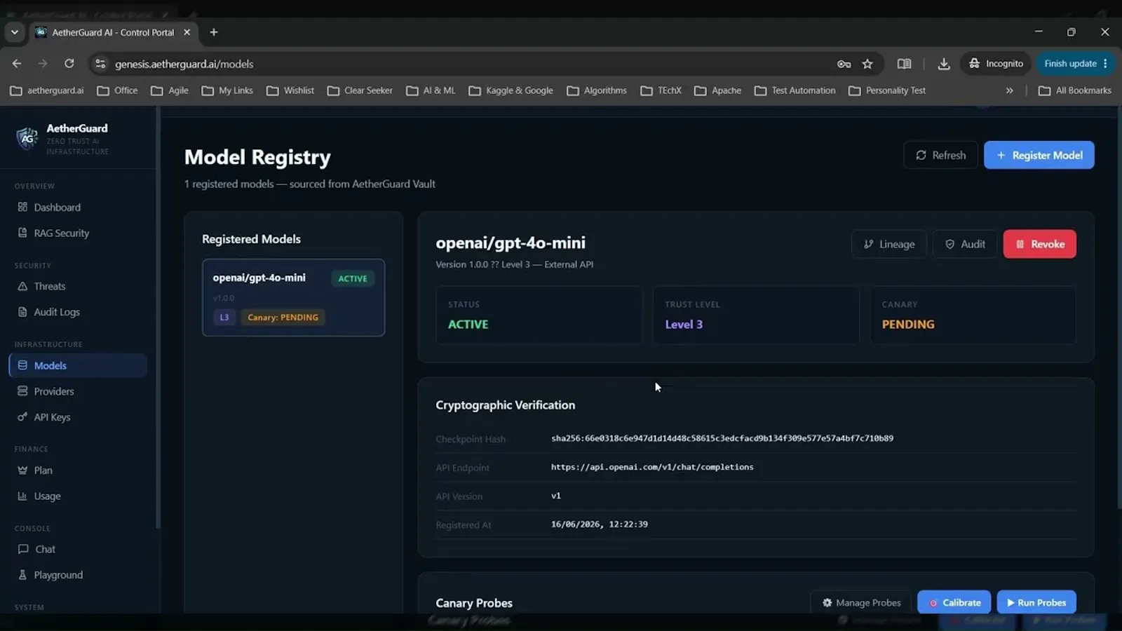 AetherGuard screenshot 1 (video preview)