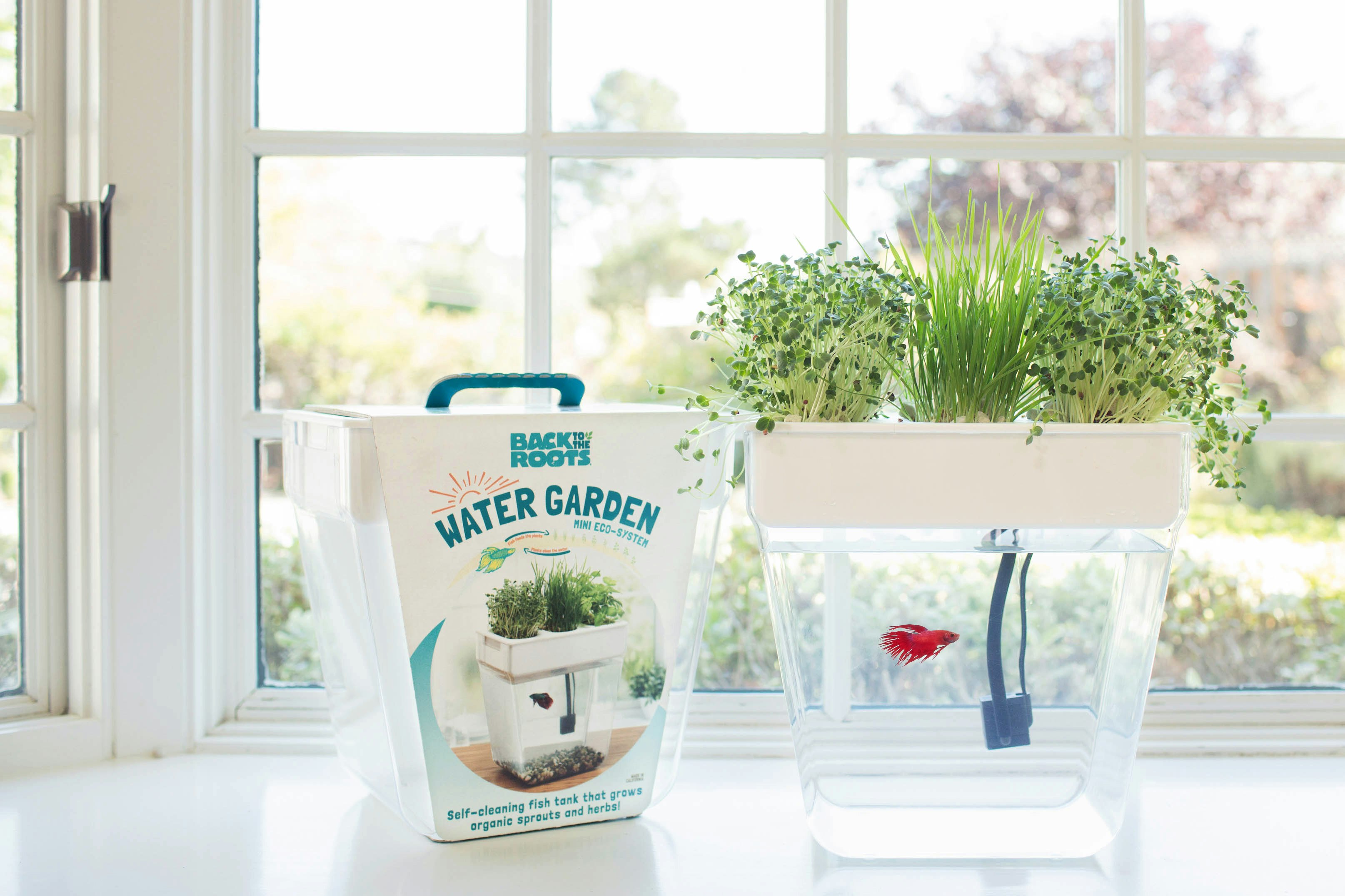 Water Garden gallery image