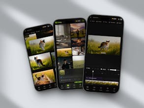 Flenly gallery image