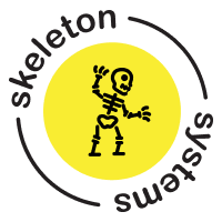 Skeletsystemen