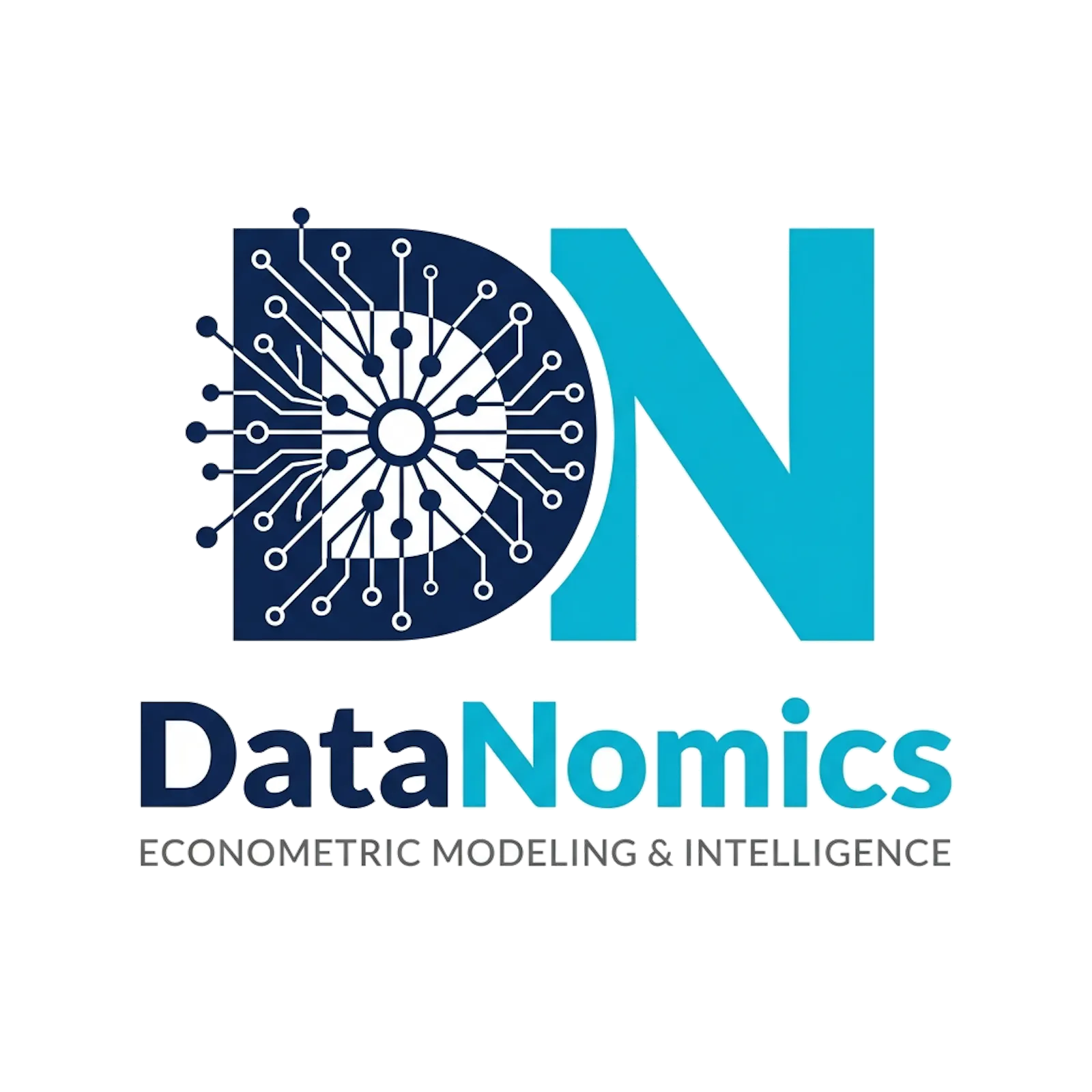 DataNomics screenshot 1