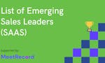 Emerging Sales Leaders - SaaS image